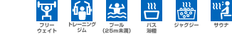 フリーウェイト トレーニングジム プール バズ ジャグジー サウナ
